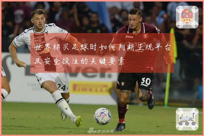世界杯买足球时如何判断正规平台及安全投注的关键要素