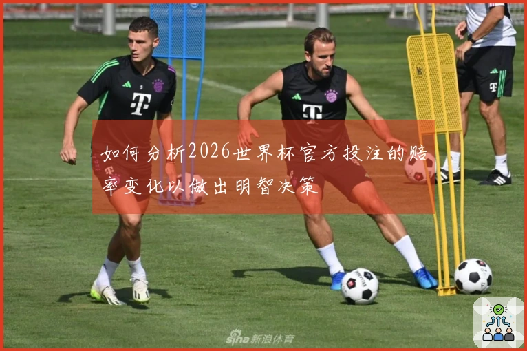 如何分析2026世界杯官方投注的赔率变化以做出明智决策