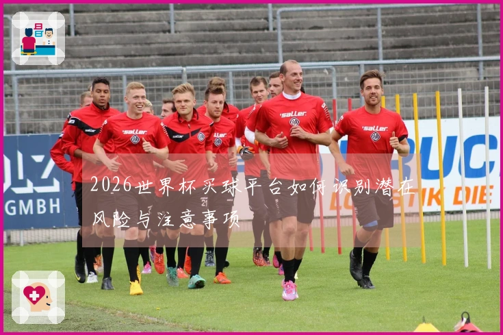 2026世界杯买球平台如何识别潜在风险与注意事项