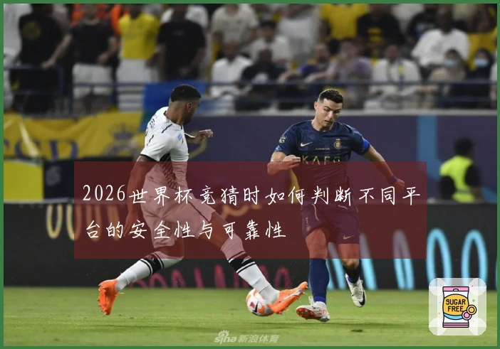 2026世界杯竞猜时如何判断不同平台的安全性与可靠性