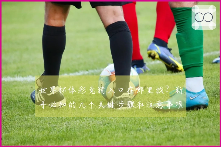 世界杯体彩竞猜入口在哪里找？新手必知的几个关键步骤和注意事项