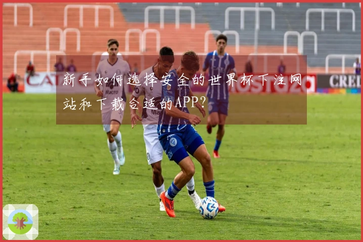 新手如何选择安全的世界杯下注网站和下载合适的APP？