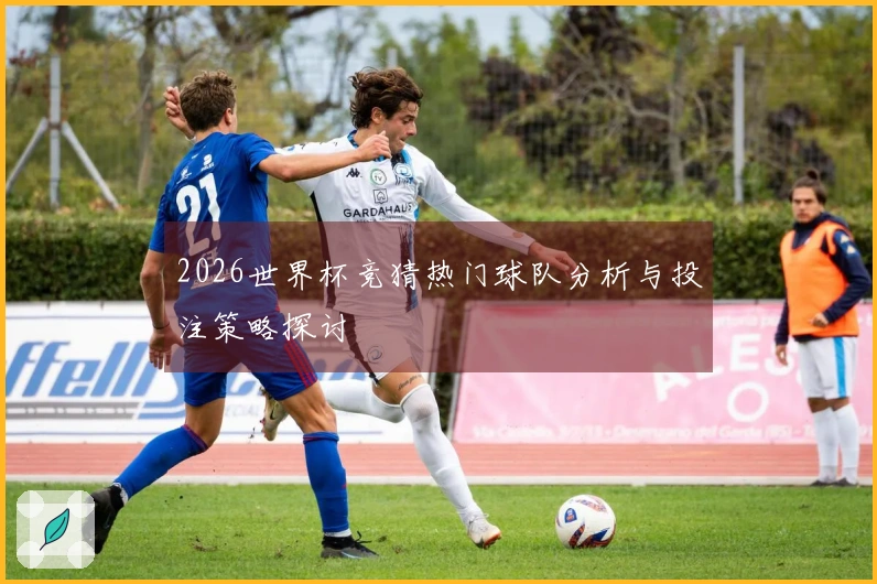 2026世界杯竞猜热门球队分析与投注策略探讨