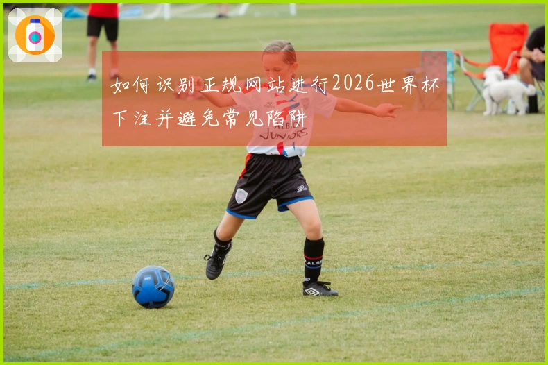 如何识别正规网站进行2026世界杯下注并避免常见陷阱