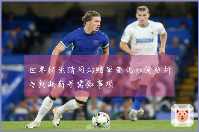 世界杯竞猜网站赔率变化如何分析与判断新手需知事项
