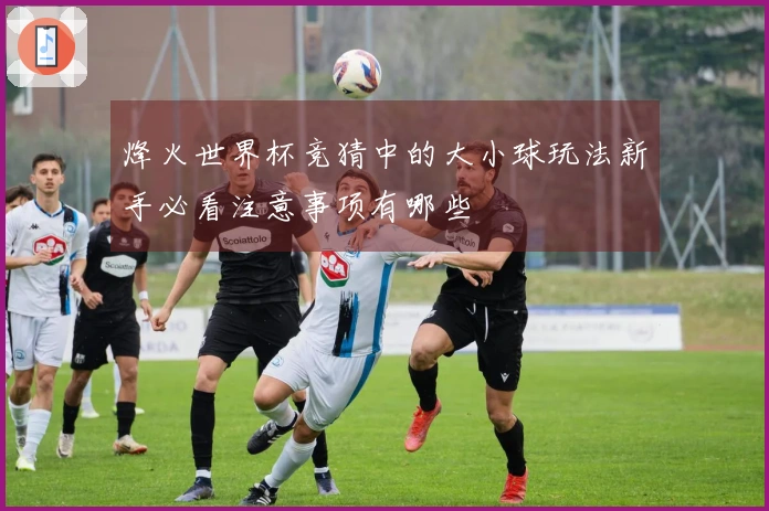 烽火世界杯竞猜中的大小球玩法新手必看注意事项有哪些
