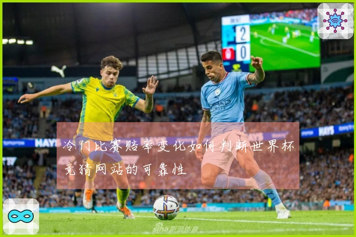 冷门比赛赔率变化如何判断世界杯竞猜网站的可靠性