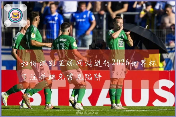 如何识别正规网站进行2026世界杯下注并避免常见陷阱