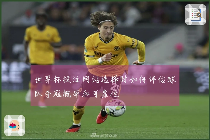 世界杯投注网站选择时如何评估球队夺冠概率和可靠性
