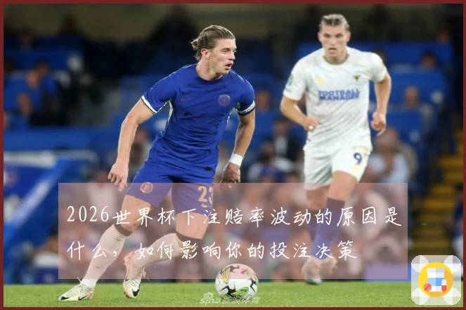 2026世界杯下注赔率波动的原因是什么，如何影响你的投注决策