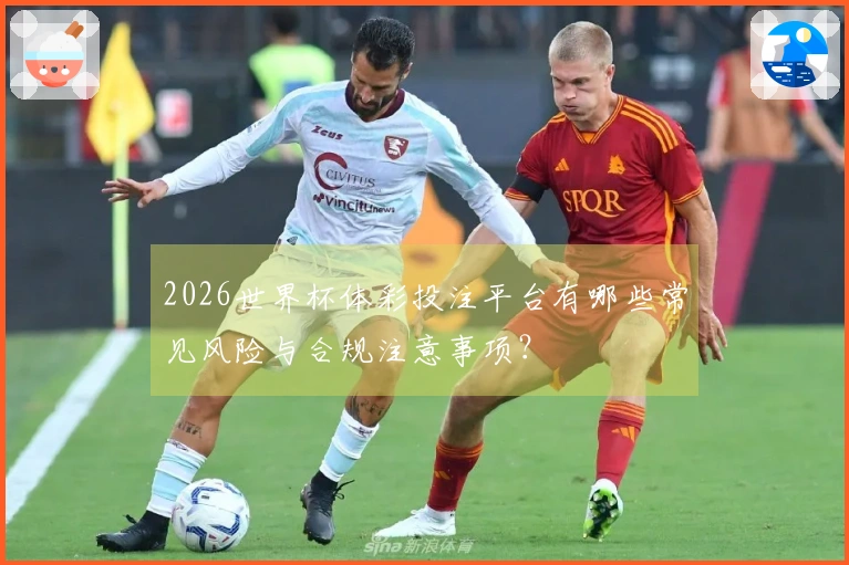 2026世界杯体彩投注平台有哪些常见风险与合规注意事项？