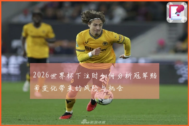2026世界杯下注时如何分析冠军赔率变化带来的风险与机会