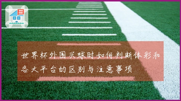 世界杯外围买球时如何判断体彩和各大平台的区别与注意事项