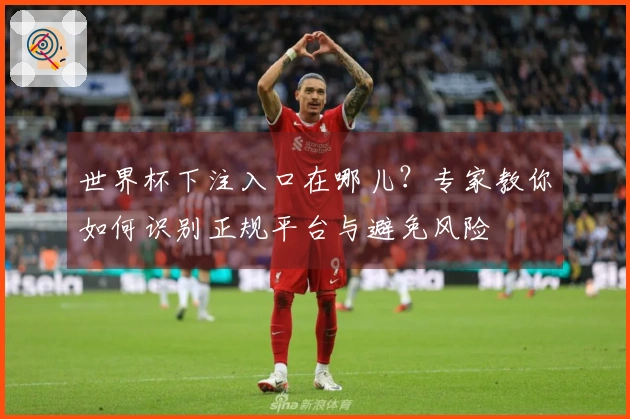 世界杯下注入口在哪儿？专家教你如何识别正规平台与避免风险