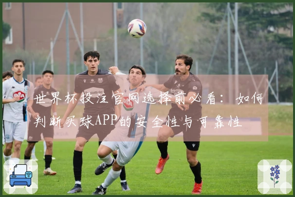 世界杯投注官网选择前必看：如何判断买球APP的安全性与可靠性
