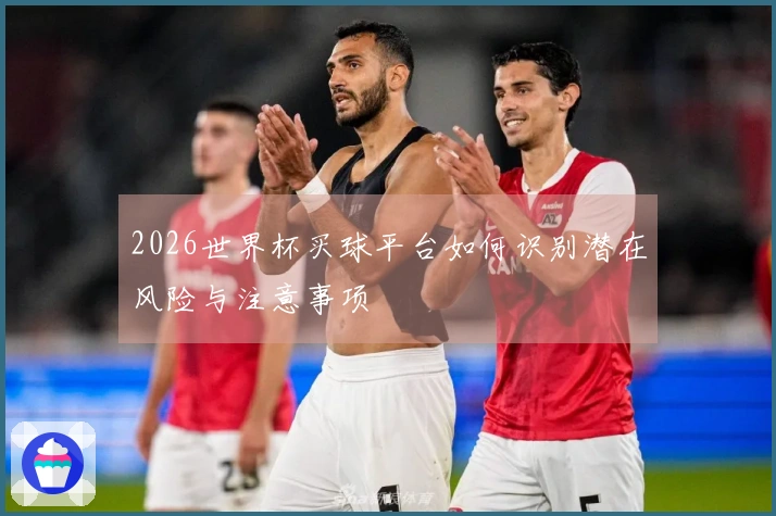 2026世界杯买球平台如何识别潜在风险与注意事项