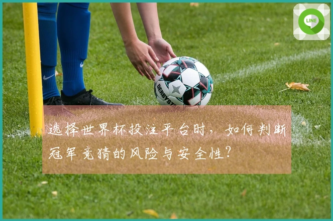 选择世界杯投注平台时，如何判断冠军竞猜的风险与安全性？