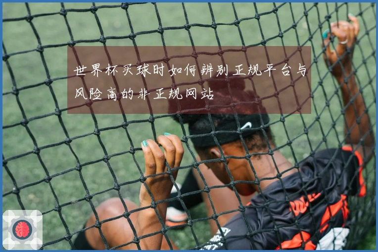 世界杯买球时如何辨别正规平台与风险高的非正规网站